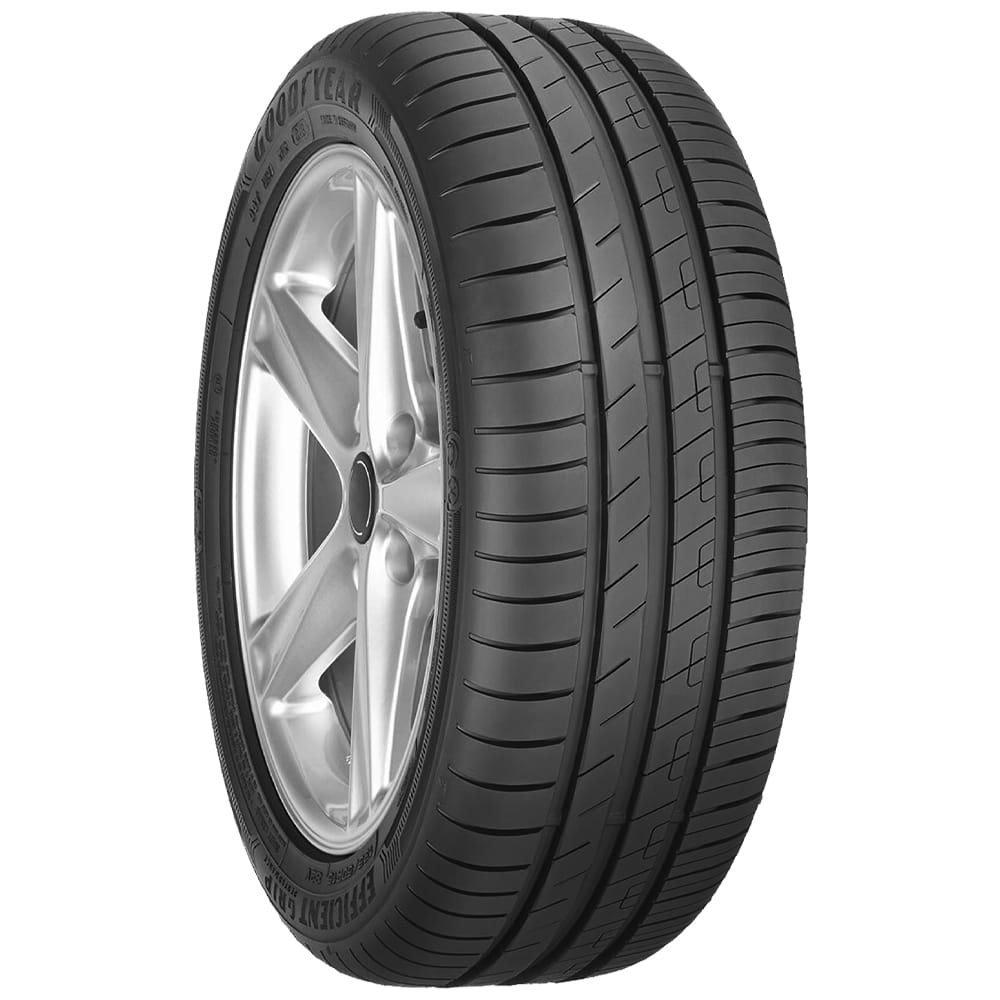 Goodyear EFFICIENT GRIP PERF 2 255/50R21