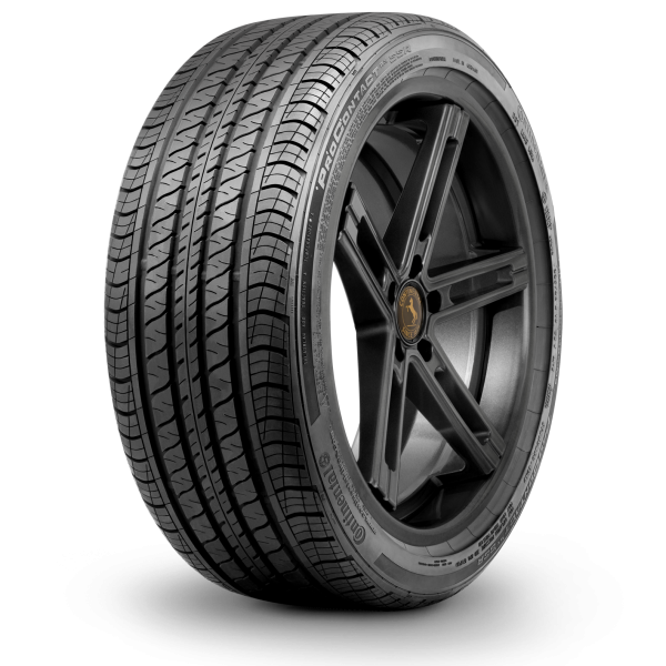 Continental PROCONTACT RX 255/50R19