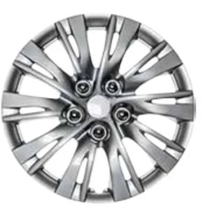 Coast to Coast WC 12-14 Camry Silvr 16' 10 SPT SPK