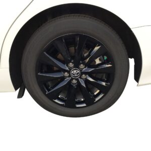 Coast to Coast WS 2018-2021 Camry GL BK 17' 10 Spoke (IMP448BLK)