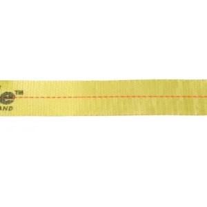 Immi Winch Strap with Loop END 2' X 25'