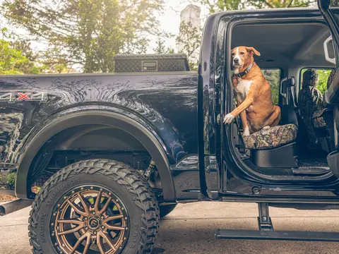 A lifted F-150 on bronze wheels and mud-terrain tires